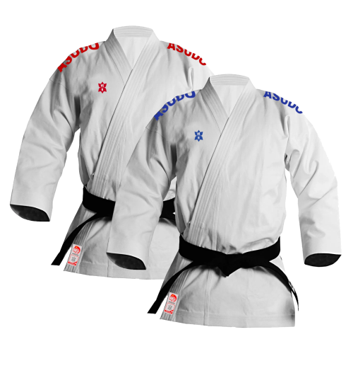 KATA Bạc ASUDO - Hình ảnh 2