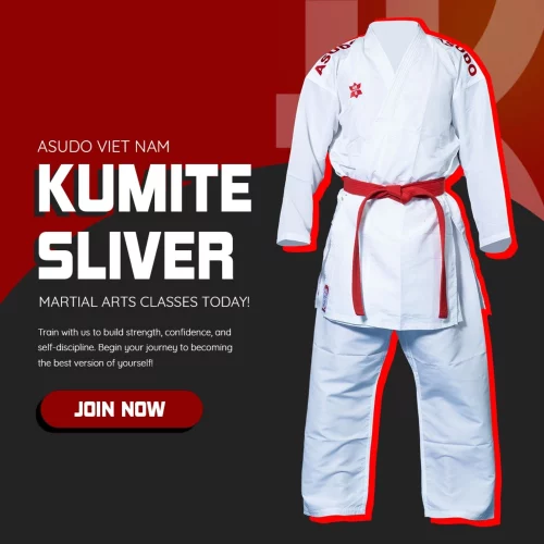 Kumite Sliver ASUDO - Hình ảnh 2