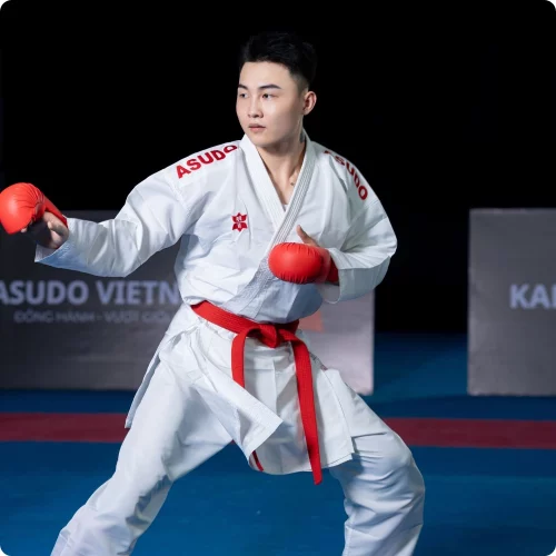 Kumite Sliver ASUDO - Hình ảnh 3
